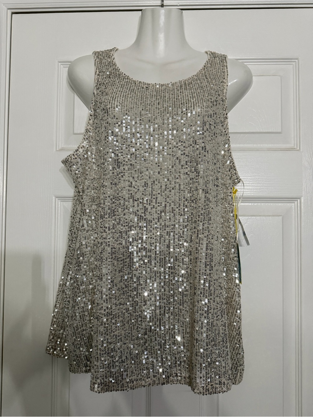 Sequin Scoop Neck Tank Top in Silver